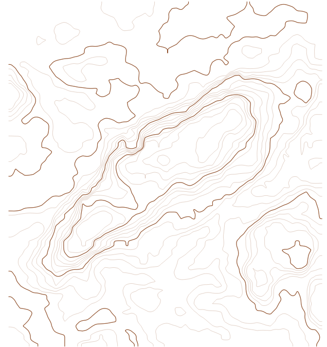6.png